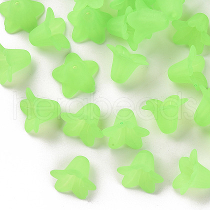 Transparent Acrylic Beads PLF018-05-1