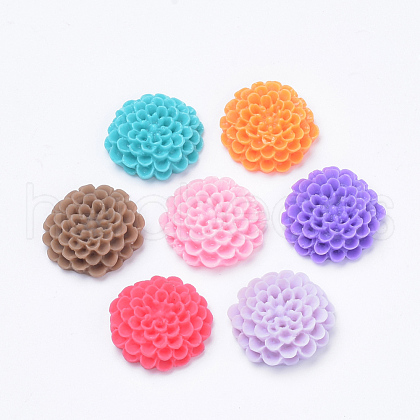 Resin Cabochons CRES-Q197-22-1