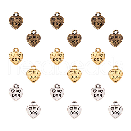 Tibetan Style Alloy Charms PH-TIBEP-G020-10-1