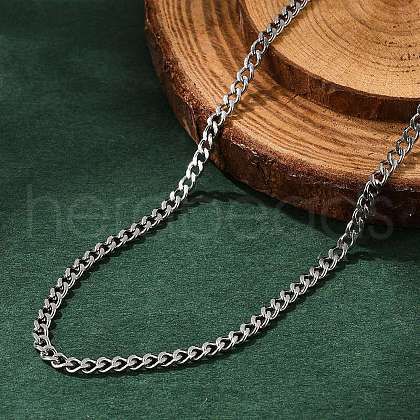 Non-Tarnish 304 Stainless Steel Curb Chain Necklaces NJEW-L162-01C-P-1