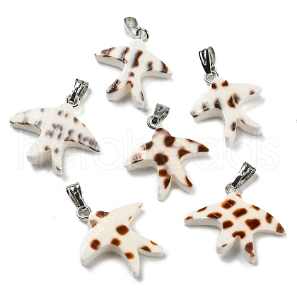 Natural Spiral Shell Pendants PALLOY-Q462-02P-1