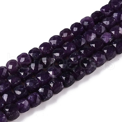 Natural Lepidolite Beads Strands G-N342-128-1-1