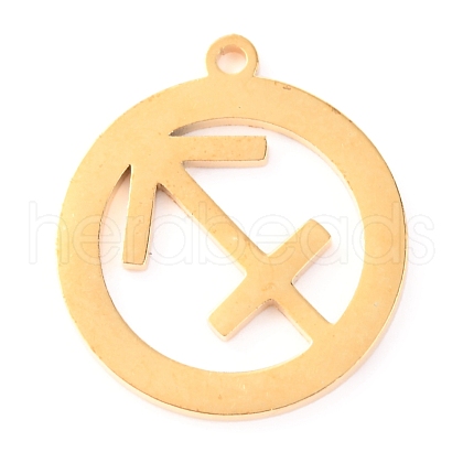304 Stainless Steel Pendants STAS-O142-70G-L-1