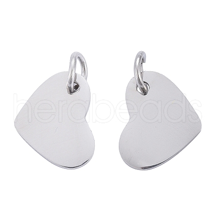 Anti-Tarnish 304 Stainless Steel Stamping Blank Tag Charms STAS-I311-19P-1