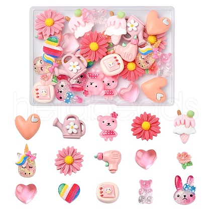 30Pcs 15 Styles Opaque and Transparent Resin Decoden Cabochons CRES-YW0002-19-1