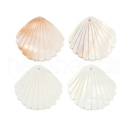 Natural Freshwater Shell Pendants SHEL-K006-45B-1