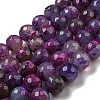 Faceted Natural Fire Crackle Agate Beads Strands G-F447-12mm-N01-2