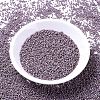MIYUKI Delica Beads SEED-J020-DB1064-2