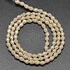 Faceted Teardrop Full Rainbow Plated Glass Bead Strands X-EGLA-J132-FR11-2