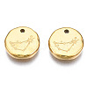 316 Surgical Stainless Steel Charms STAS-S116-418C-G-2