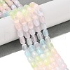 Macaron Color Natural Selenite Beads Strands G-F750-D01-2