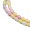 Handmade Lampwork Beads Strands LAMP-S070-11B-3