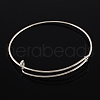 Adjustable Iron Expandable Bangle Making BJEW-R038-P-1