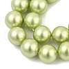 Polished Shell Pearl Round Beads Strands BSHE-XCP0001-13-3