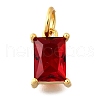 925 Sterling Silver Pave Clear Cubic Zirconia Charms STER-V001-02G-07-1