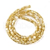 Natural Trochus Shell Beads Strands BSHE-S304-09A-2