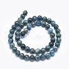 Natural Apatite Beads G-E481-05-8mm-2