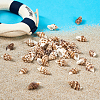 Spiral Shell Pendants SSHEL-TA0001-02-8