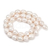 Natural Cultured Freshwater Pearl Beads Strands PEAR-P064-20K-05A-3