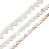 Fashewelry 3 Strands 3 Style Natural Freshwater Shell Beads Strands SHEL-FW0001-01-9