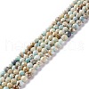 Natural Imperial Jasper Beads Strands G-L578-A03-1