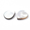 Natural Black Lip Shell Beads SSHEL-N020-027A-2