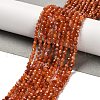 Natural South Red Agate Beads Strands G-Z074-A02-01B-1