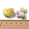 Flower Fruit Opaque Resin Decoden Cabochons CRES-P033-01-3