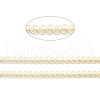 Golden Brass Enamel Cobs Chain CHC-H103-15A-G-3
