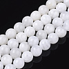 Natural Rainbow Moonstone Beads Strands G-S150-64-9mm-1