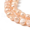 Natural Cultured Freshwater Pearl Beads Strands PEAR-P064-19J-01A-4