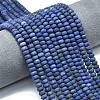 Dyed Natural Lapis Lazuli Beads Strands G-P575-A46-6x4mm-02-1