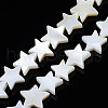 Natural Freshwater Shell Beads Strands X-SHEL-S278-01B-01-1