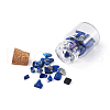 Kissitty Natural & Synthetic Gemstone Chip Beads Glass Bottles G-KS0001-02-4