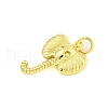 Rack Plating Brass Pendants KK-U021-07G-2