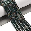 Natural Indian Agate Beads Strands G-G175-N06-01-1