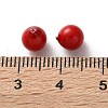 Shell Pearl Beads BSHE-XCP0001-71A-3