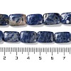 Natural Sodalite Beads Strands G-K357-D15-01-5