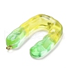Resin Pendant FIND-Q107-01U-02-2