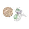 5Pcs Glass Pendants PALLOY-JF04006-2