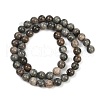 Natural Gemstone Beads Strands G-F792-C11-06-3
