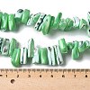 Dyed Natural Trochus Shell Beads Strands SSHEL-C013-09H-4