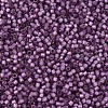 MIYUKI Delica Beads SEED-X0054-DB2182-3