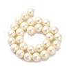 Shell Pearl Beads Strands BSHE-XCP0001-32-2