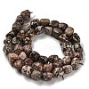 Natural Leopard Skin Jasper Beads Strands G-P497-01E-93-3