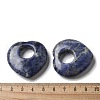 Natural Sodalite Hollow Pendants G-C167-06C-3