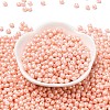 6/0 Glass Seed Beads SEED-L011-08A-25-2