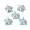 Natural Rainbow Alashan Agate Charms G-G194-02-2