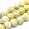 Natural Howlite Bead Strands G-I224-04-8mm-2