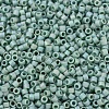 MIYUKI Delica Beads X-SEED-J020-DB2313-3